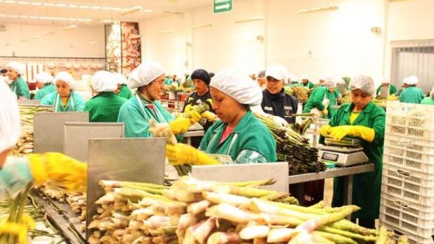 Adex: Exportaciones peruanas crecieron 4% en el 2022